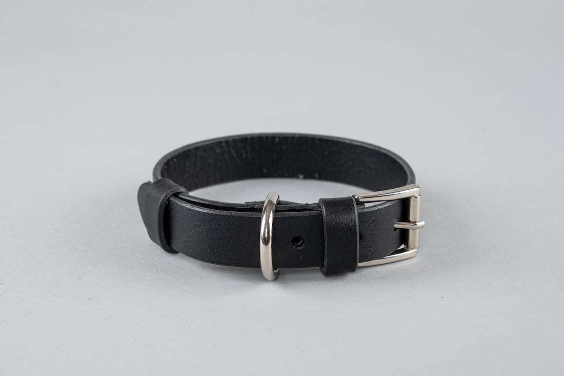 Pet Collar